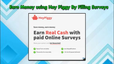 How to make money with Heypiggy by filling surveys